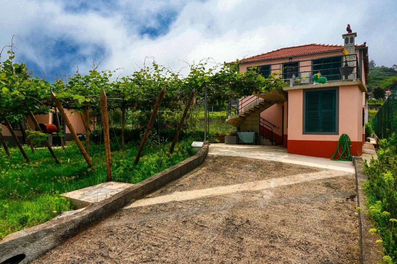 Os Ferreirinhos, A Home In Madeira Sao Jorge  Exterior photo