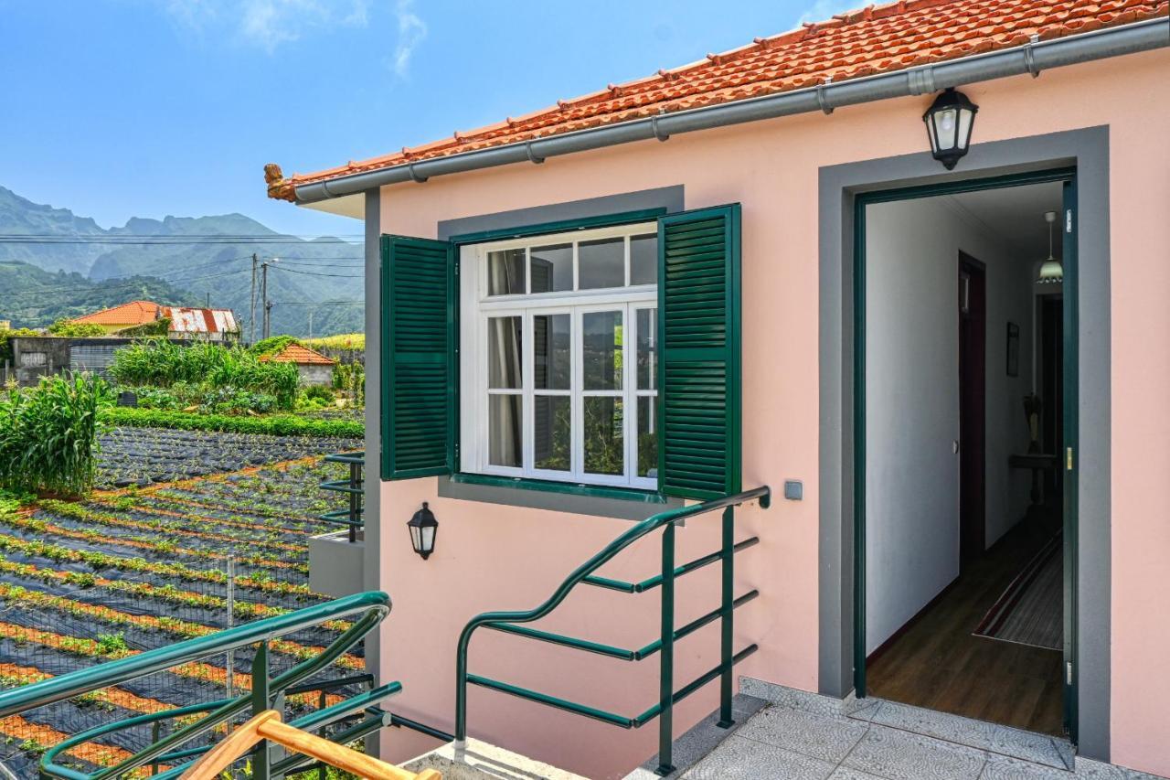 Os Ferreirinhos, A Home In Madeira Sao Jorge  Exterior photo